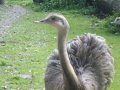 IMGP0836.JPG